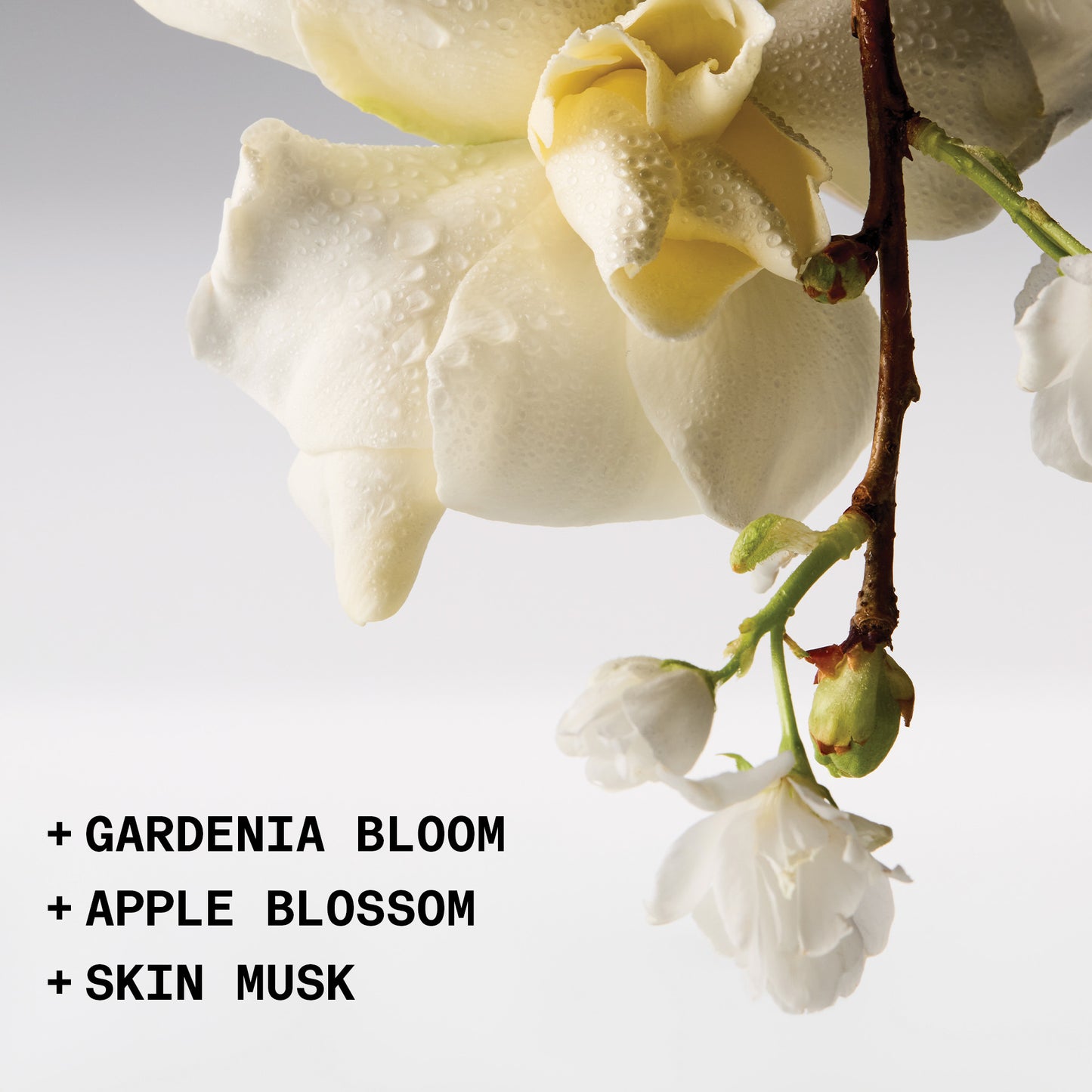 white flower