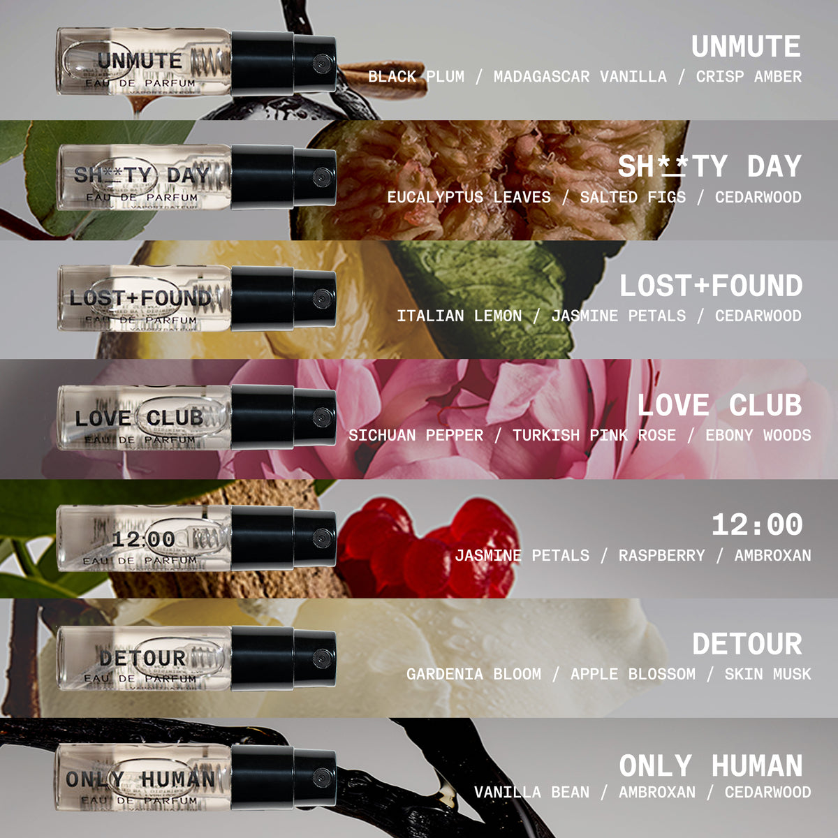 
THE COMPLETE COLLECTION product image