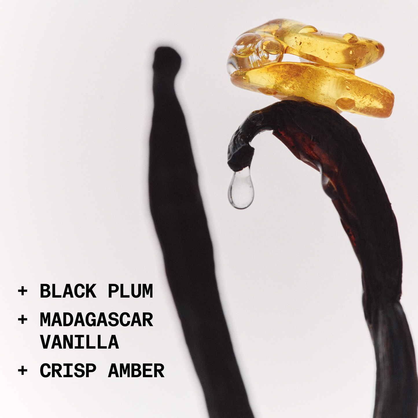 THE SOLID FRAGRANCE PAIR