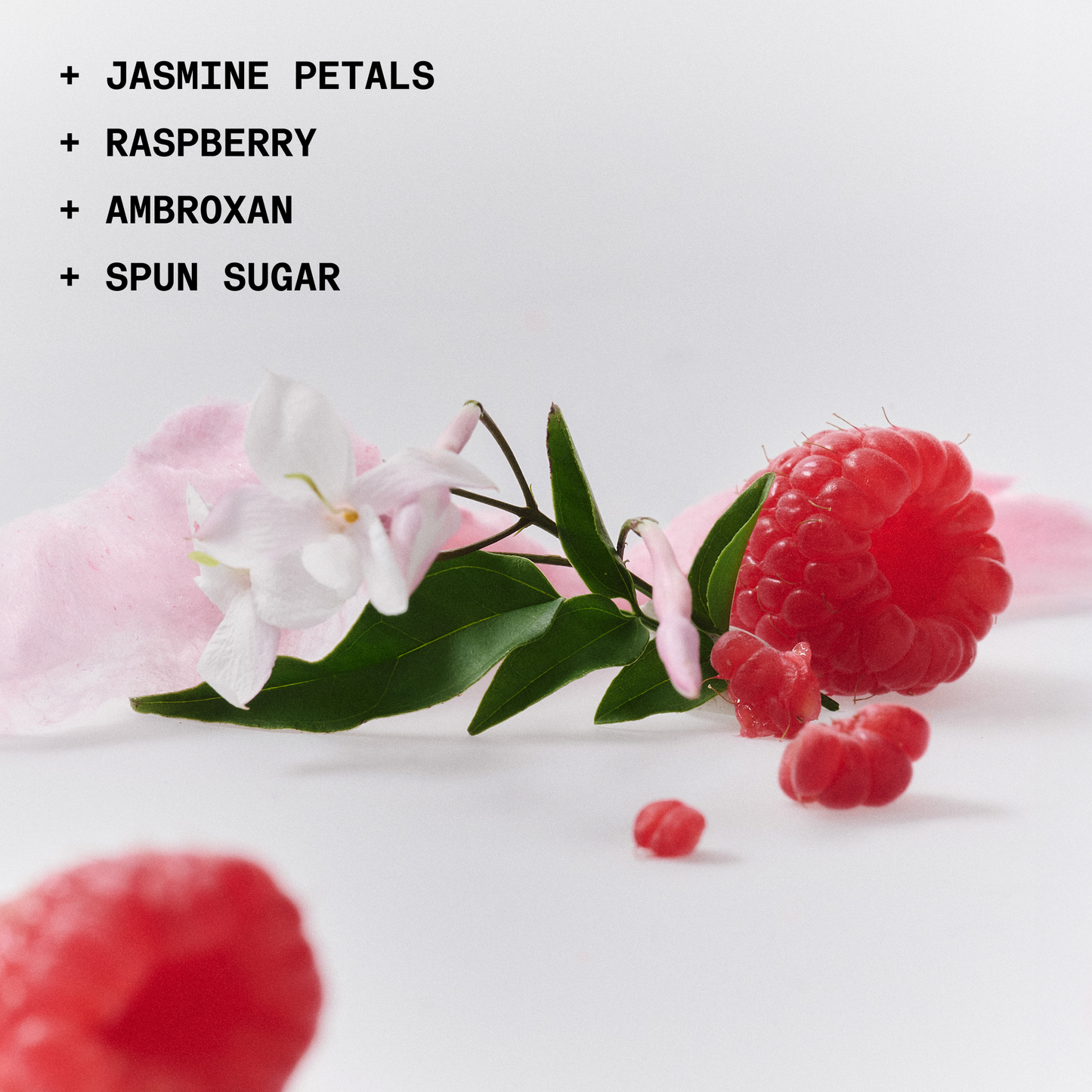 THE SOLID FRAGRANCE 12:00