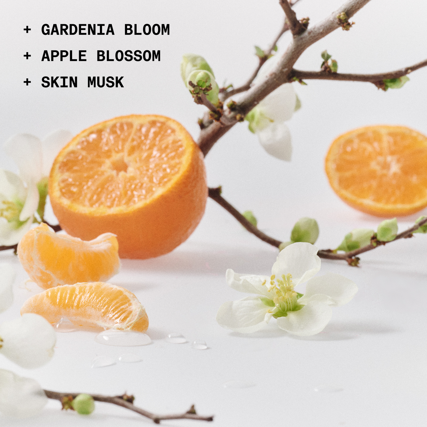 THE SOLID FRAGRANCE DETOUR