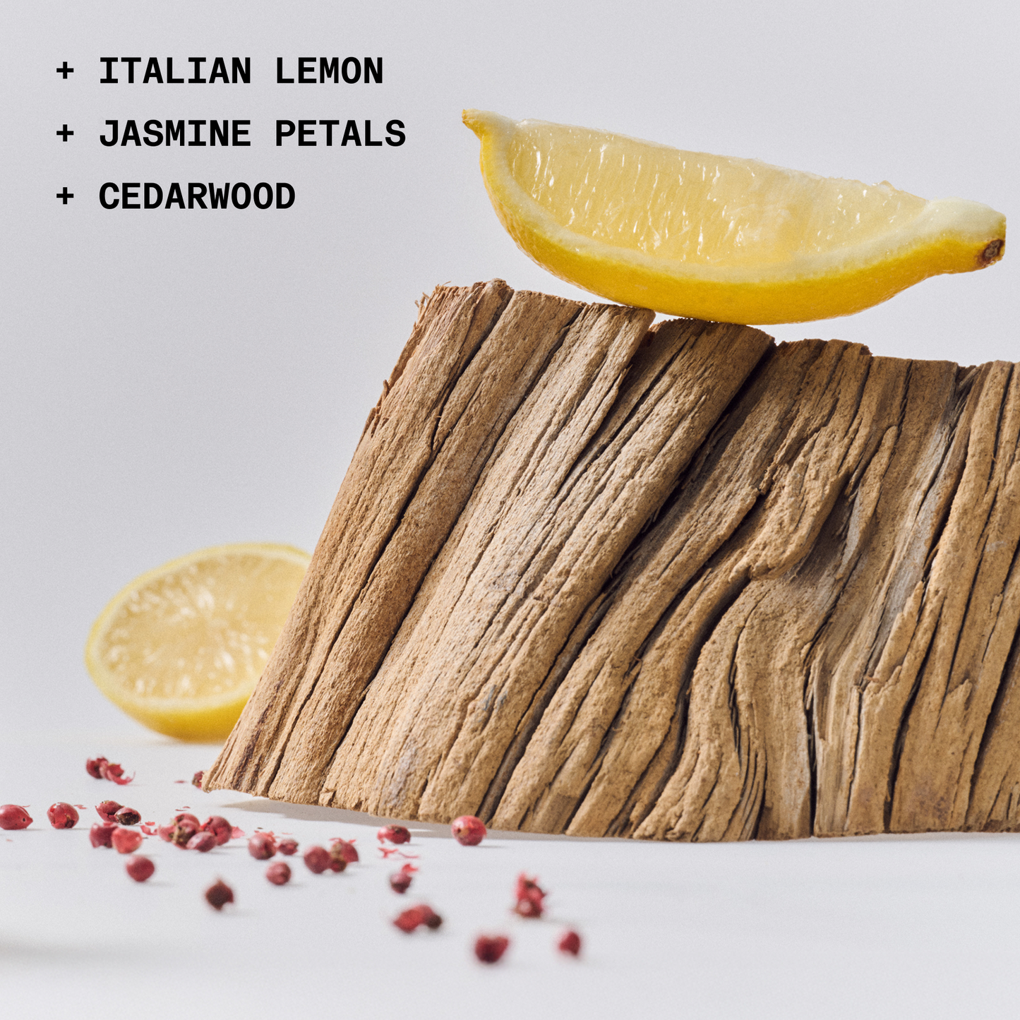 THE SOLID FRAGRANCE REFILL LOST+FOUND