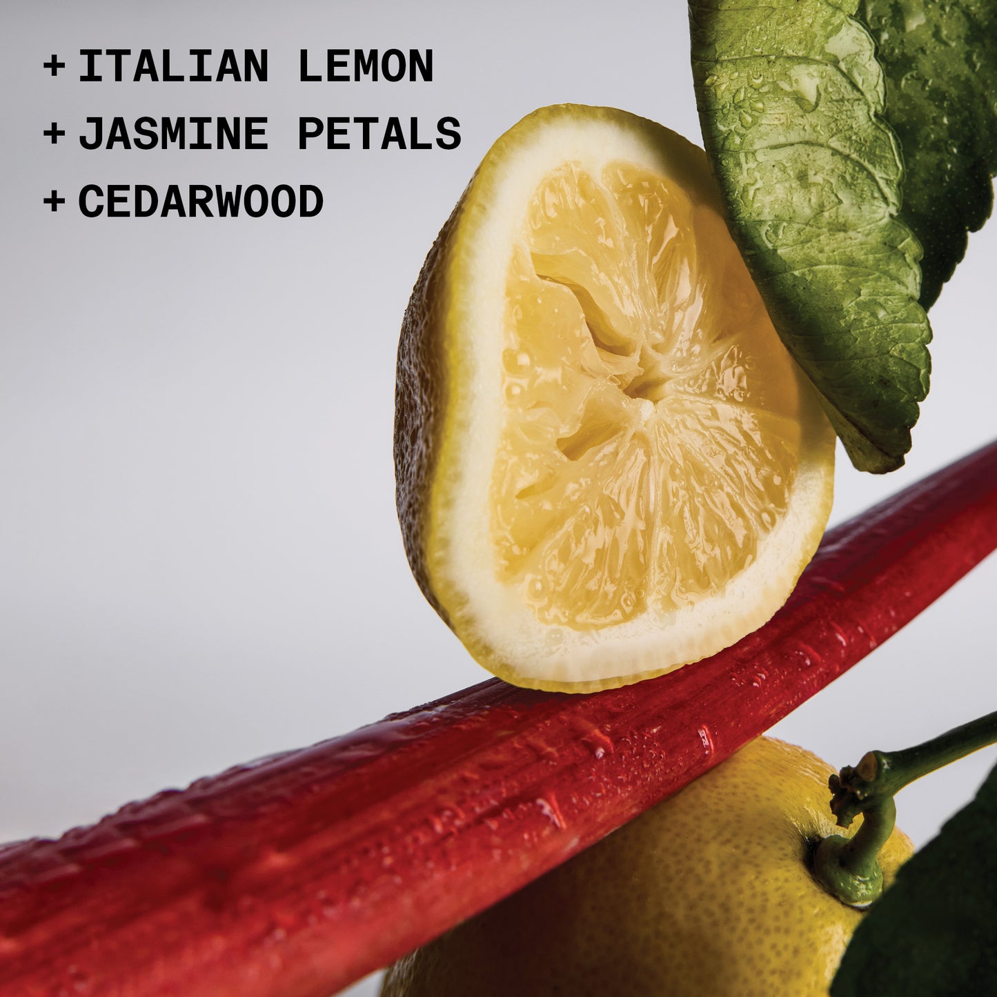 Lost + Found Ingredient notes: Lemon, Jasmine Petals Cedarwood
