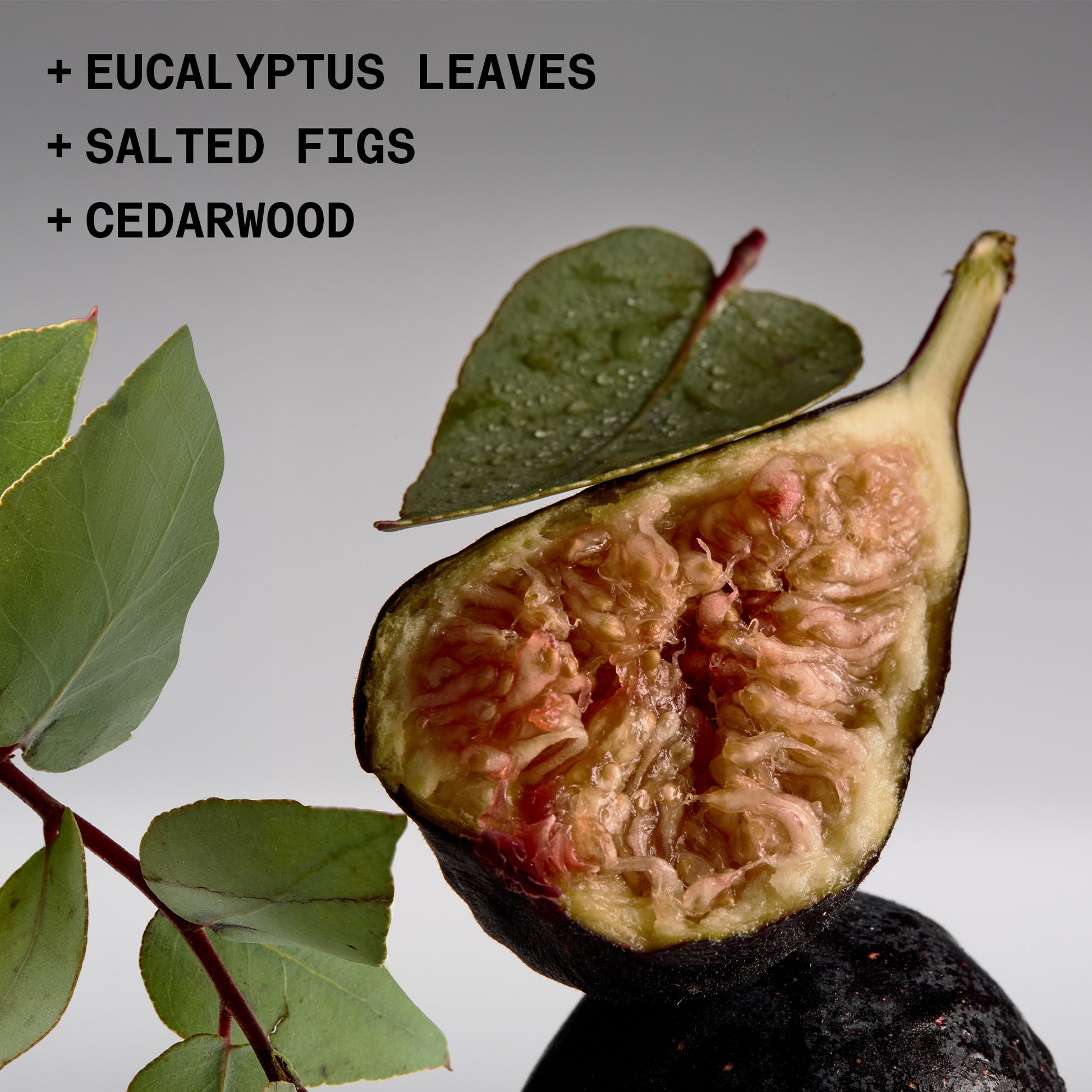 Fig ingredient note