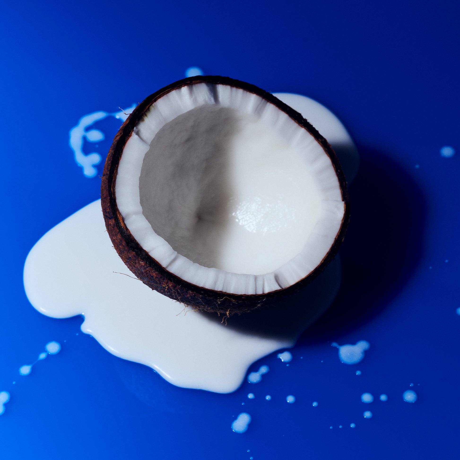 open coconut on blue background